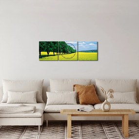 Obraz pola z aleją (z zegarem) (90x30 cm)