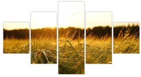 Obraz zroszonej trawy (125x70 cm)