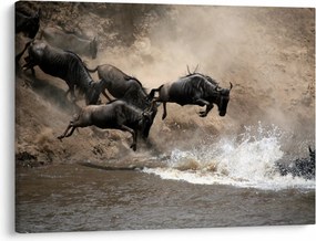 Obraz - Stado antylop gnu (70x50 cm)