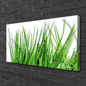 Obraz canvas na ścianę Naturalny Motyw Trawy