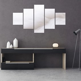 Obraz - Białe pióro (125x70 cm)