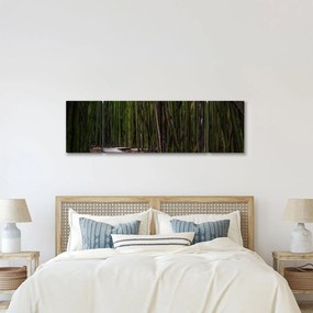 Obraz - Wśród bambusów (170x50 cm)