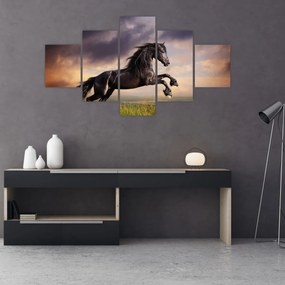 Obraz - Konie (125x70 cm)