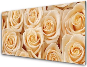 Panel Kuchenny Aksamitne Róże w Pąkach