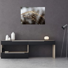 Obraz na szkle kropli na roślinie (70x50 cm)