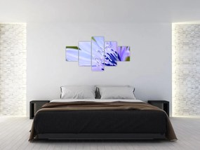 Obraz - Kwiat (125x70 cm)