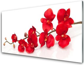 Panel Szklany do Kuchni Klasyczny Motyw Botaniczny