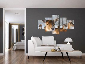 Obraz - Jelonki (125x70 cm)