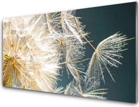 Panel Szklany do Kuchni Lekkość Mniszka Lekarskiego