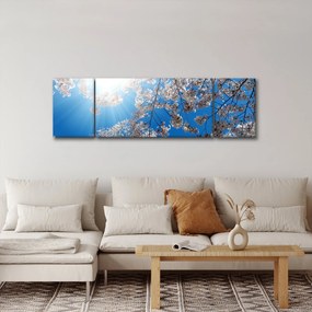 Obraz - Wiśniowe kwiaty (170x50 cm)