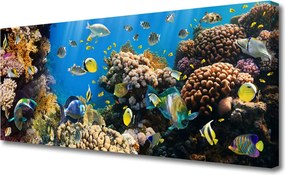 Zdjęcie na płótnie Barwne Życie Rafy Koralowej
