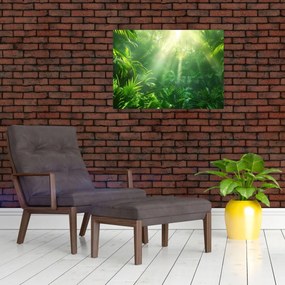 Obraz - Las deszczowy (70x50 cm)