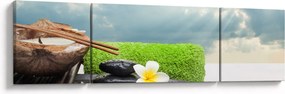 Obraz - Spa and relakx (170x50 cm)