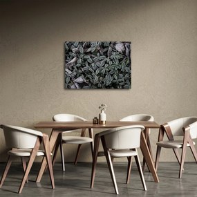 Obraz - Zamrożone rośliny (70x50 cm)