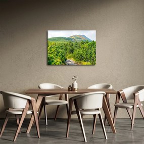 Obraz - Babia Góra, Polska (70x50 cm)