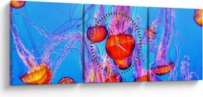 Obraz meduz w morzu (z zegarem) (90x30 cm)