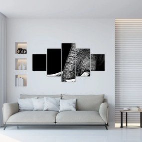Obraz - Kły słonia (125x70 cm)