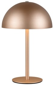 Lampa stołowa LED w kolorze brązu z metalowym kloszem (wysokość 21 cm) Munoz – Trio
