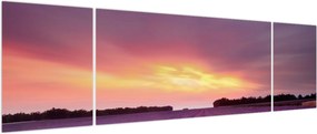 Obraz - Pole lawendy (170x50 cm)