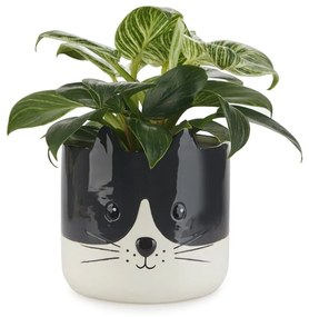 Ceramiczna doniczka ø 13,5 cm Kitty – Balvi