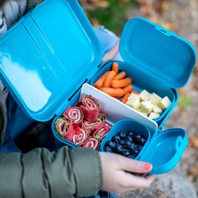 Lunchbox z przegródkami PASCAL L, KOZIOL