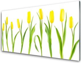 Panel Szklany Słoneczne Żółte Tulipany