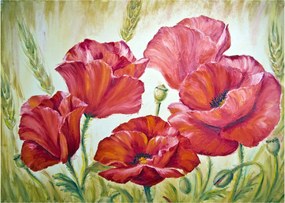 Obraz na szkle - Kwiaty maku (70x50 cm)