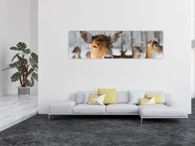 Obraz - Jelonki (170x50 cm)