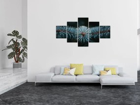 Obraz gałązki drzewa iglastego (125x70 cm)