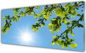 Szkło Ozdobne do Kuchni Złocisty Blask Słońca