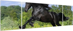 Obraz - Koń z płynącą grzywą (170x50 cm)
