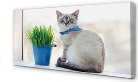 Fotoobraz na płótnie Dostojny Siedzący Kot