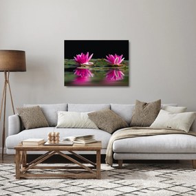Obraz na szkle lilii wodnych na wodzie (70x50 cm)