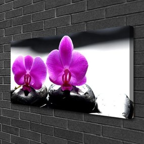 Obraz Canvas Kwiaty Orchidea Natura