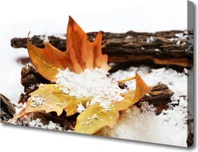 Obraz canvas Urok Skromnej Stokrotki