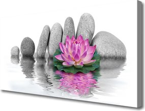 Obraz canvas Balans Natury: Kwiat i Skała