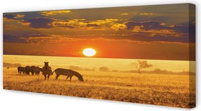 Fotoobraz na płótnie Zebry o Zachodzie Słońca