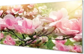 Panel Kuchenny Szklany Kolorowe Kwiaty