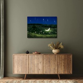 Obraz - Spadające niebo (70x50 cm)