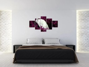 Obraz - Biały paw (125x70 cm)