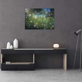 Obraz - Magiczna noc (70x50 cm)