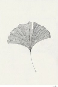 Plakat 50x70 cm Ginkgo Leaf – Ana Frois – The Poster Club