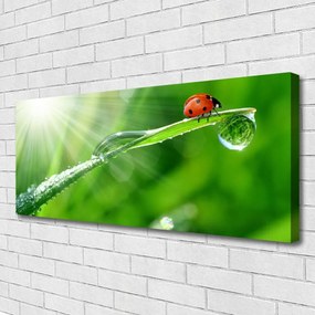 Obraz canvas na ścianę Mała Biedronka na Źdźble