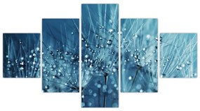 Obraz - Krople rosy (125x70 cm)
