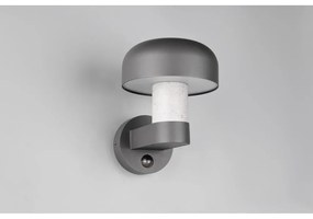 Zewnętrzna lampa ścienna (wysokość 24,5 cm) Fraser – Trio