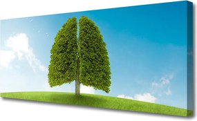 Duży obraz na płótnie Zielone Płuca Natury