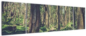Obraz ścieżki pomiędzy drzewami (170x50 cm)
