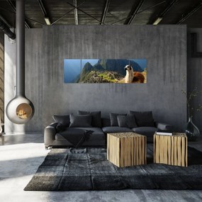 Obraz - Lama i Machu Picchu (170x50 cm)