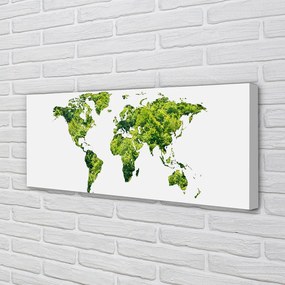 Obraz canvas na ścianę Mapa na Zielonej Trawie