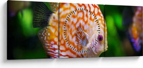 Obraz ryby (z zegarem) (90x30 cm)